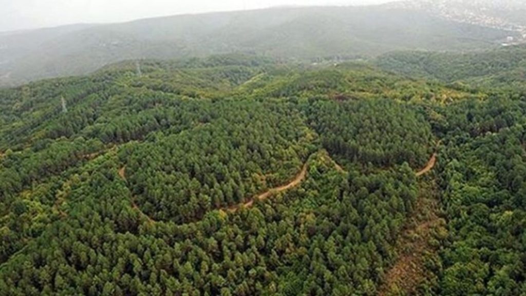 Türkiye’de doğal sit alanı 28 bin 907 kilometrekareye yükseldi – Birlik Haber Ajansı