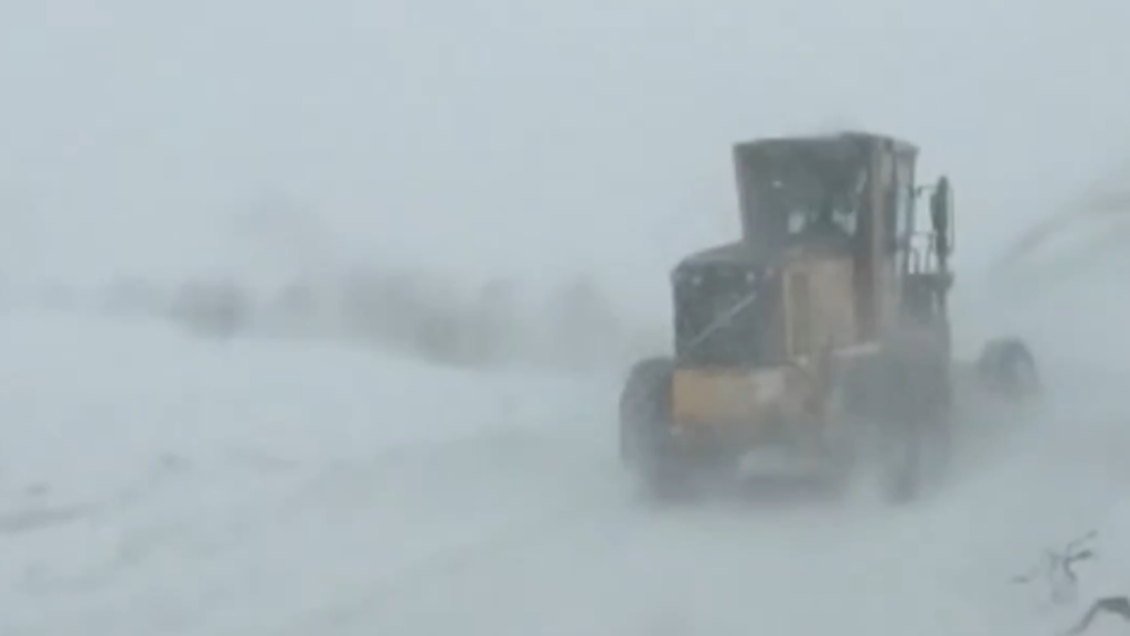 Artvin Ardanuç’ta Çığ: Ekipler bölgeye sevk edildi – Birlik Haber Ajansı