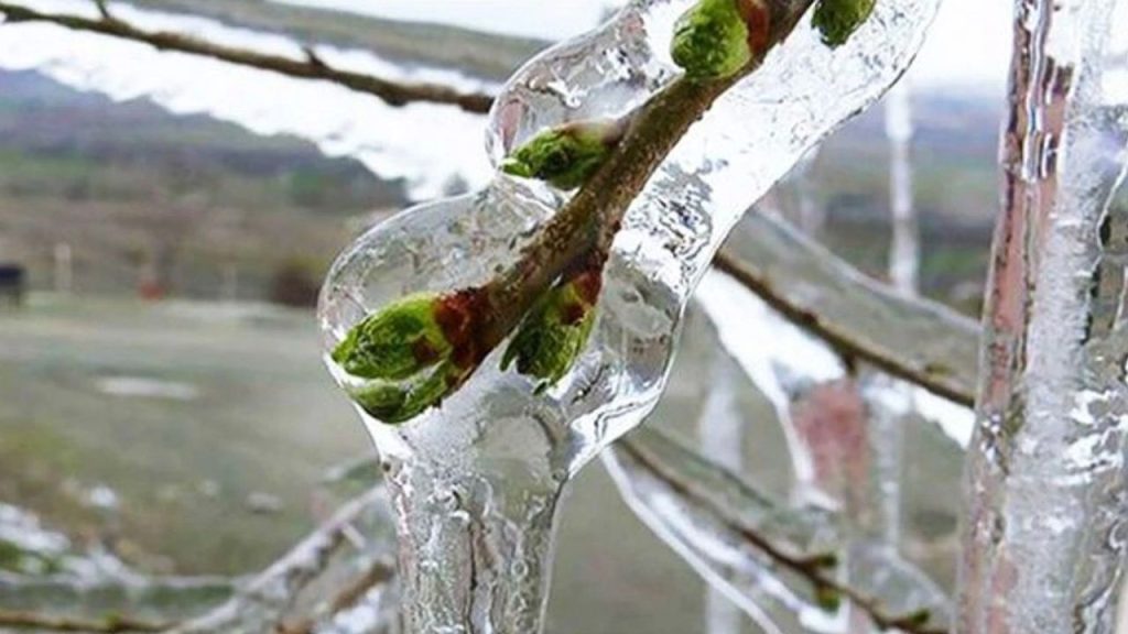 Antalya’da yayla dondu – Birlik Haber Ajansı
