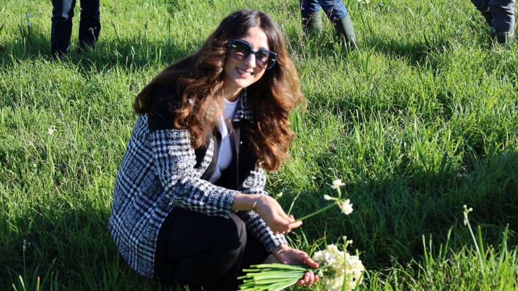 Kaymakam Kızılkaya, üreticilerle nergis hasadına katıldı – Birlik Haber Ajansı
