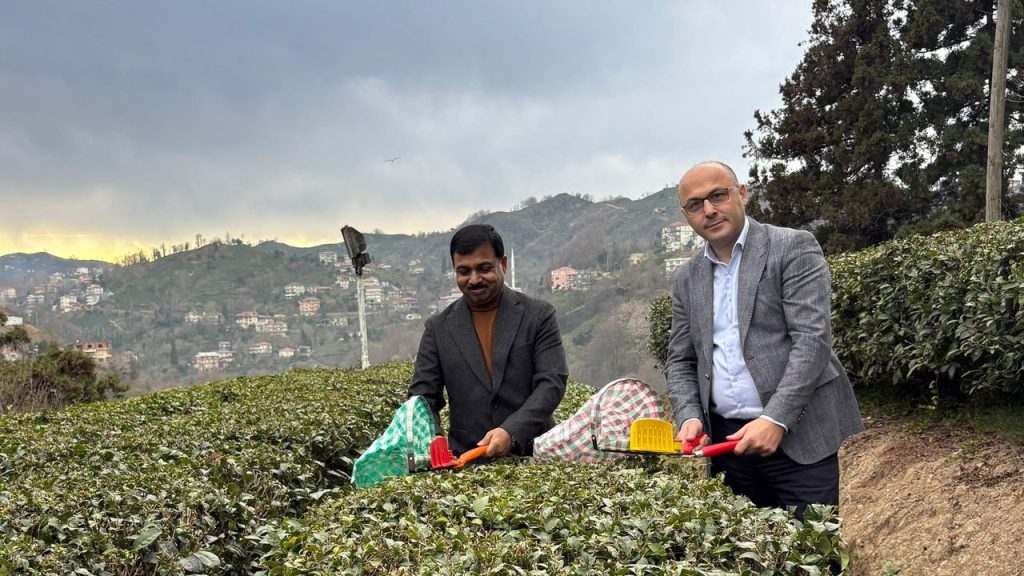 Hindistan’ın Türkiye Büyükelçisi Rize’de: Türkiye’ye gelince günde 7-8 bardak çay içiyorum – Birlik Haber Ajansı