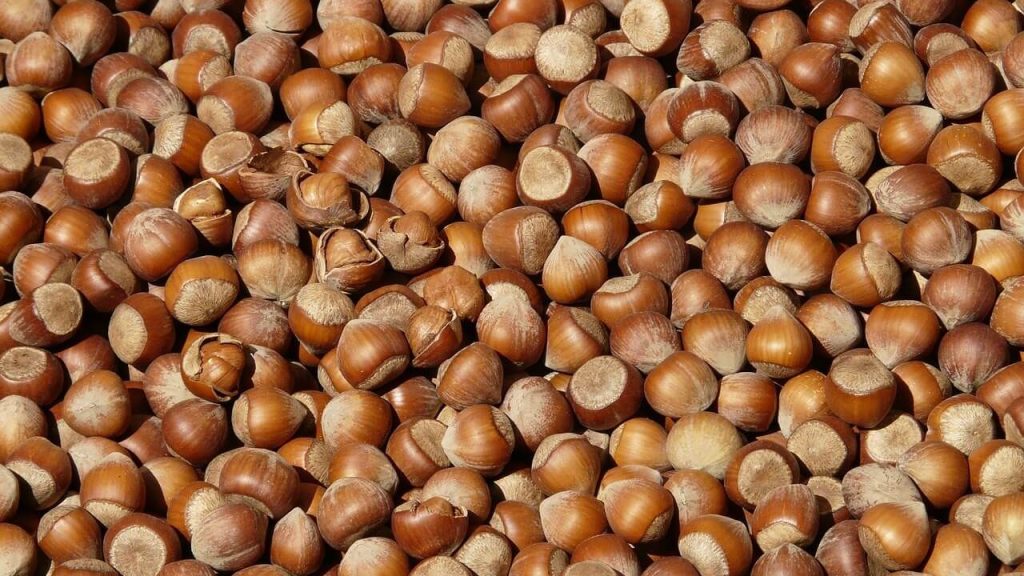 Doğu Karadeniz’in ocak ayı ihracatı 125,5 milyon doları geçti – Birlik Haber Ajansı