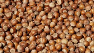 Doğu Karadeniz’in ocak ayı ihracatı 125,5 milyon doları geçti – Birlik Haber Ajansı